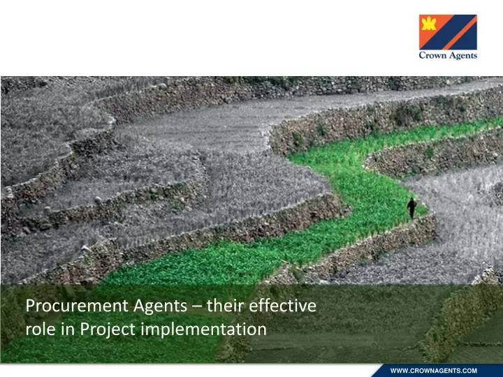 procurement agents their effective role in project implementation