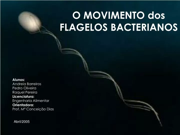 o movimento dos flagelos bacterianos