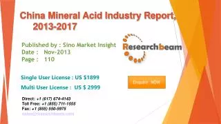 China Mineral Acid Market Size, Share, Study 2013-2017