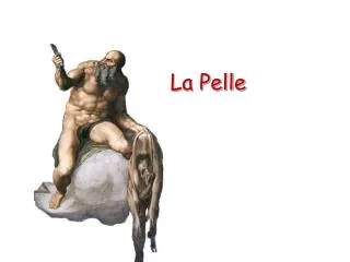 la pelle