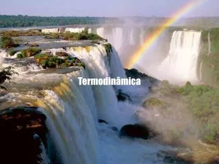 termodin mica