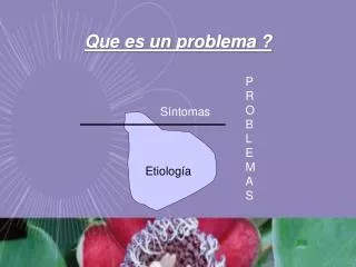 que es un problema
