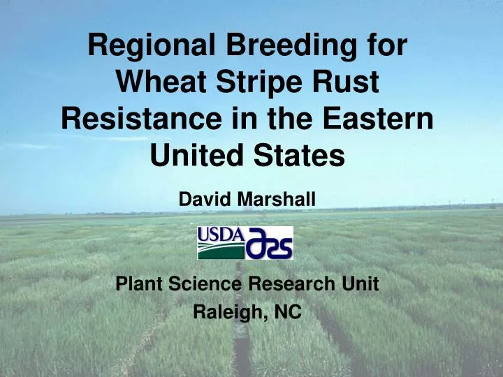 regional breeding for wheat stripe rust resistance in the eastern united states