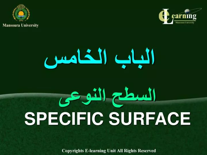 specific surface