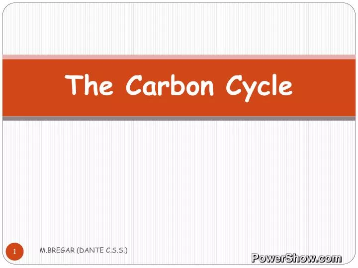 the carbon cycle