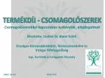 Készítette: Csehné Dr. Báder Enikő - slide 1