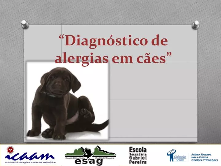 diagn stico de alergias em c es