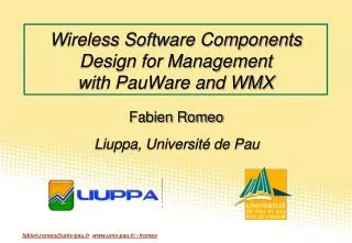 Wireless Software Components Design for Management with PauWare and WMX