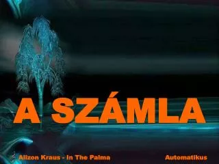 a sz mla