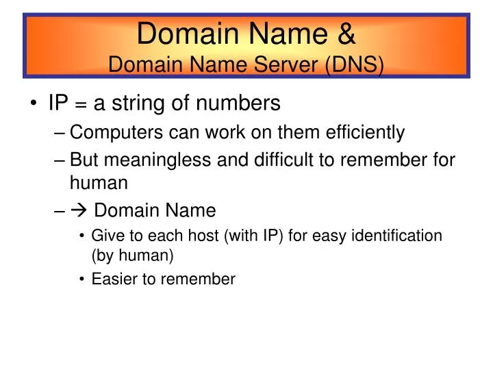 domain name domain name server dns