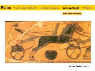 mite del carro alat