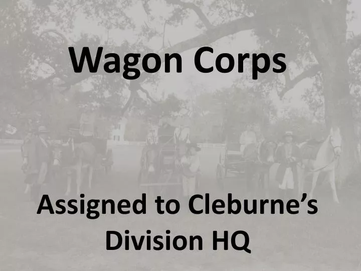 assigned to cleburne s division hq