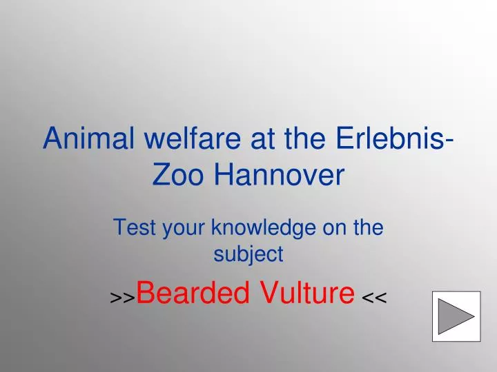 animal welfare at the erlebnis zoo hannover