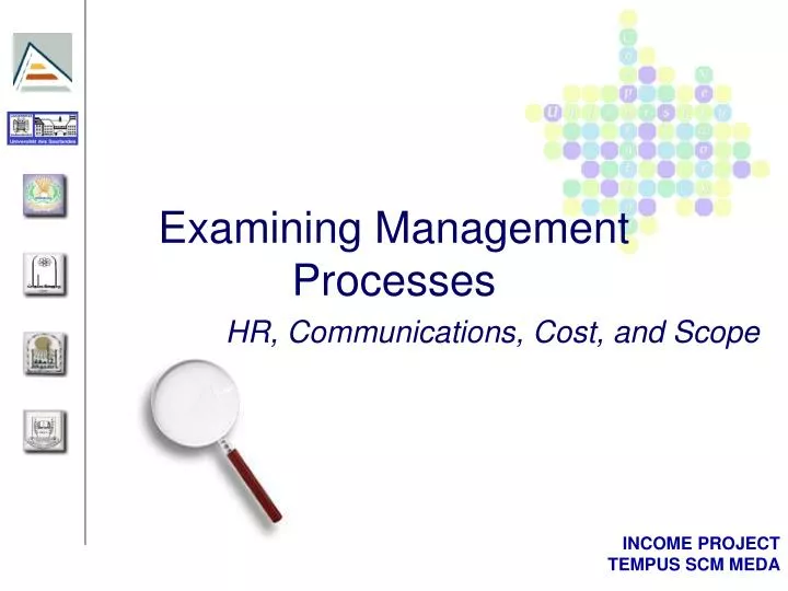 examining management processes