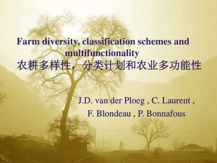 farm diversity classification schemes and multifunctionality