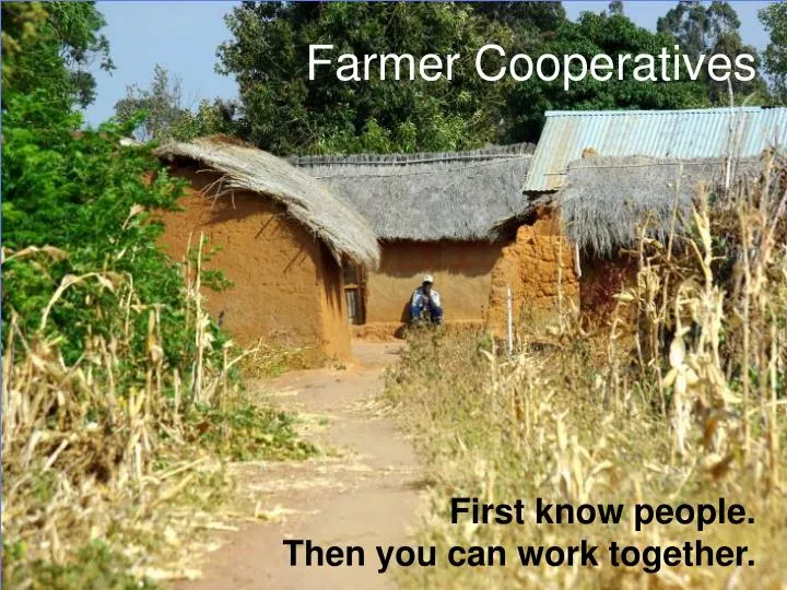 farmer cooperatives