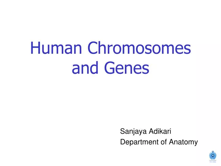 human chromosomes and genes