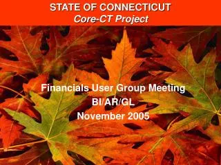 Financials User Group Meeting BI/AR/GL November 2005