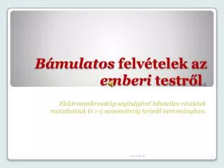 b mulatos felv telek az emberi testr l