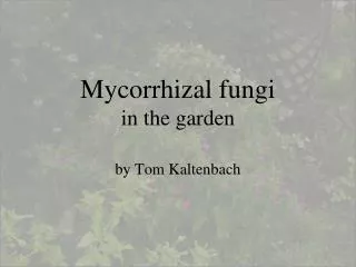Mycorrhizal fungi in the garden