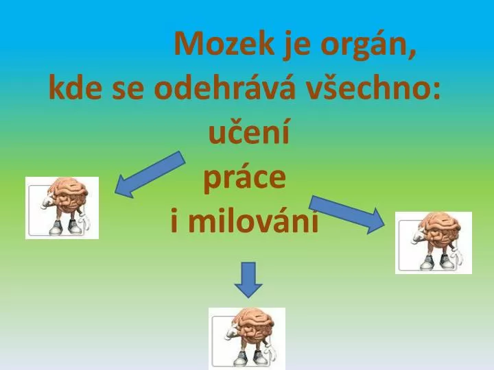 mozek je org n kde se odehr v v echno u en pr ce i milov n