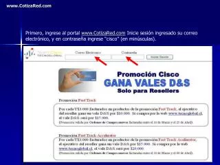 www cotizared com