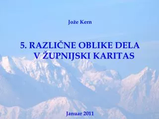 Jože Kern 5. RAZLIČNE OBLIKE DELA V ŽUPNIJSKI KARITAS Januar 2011