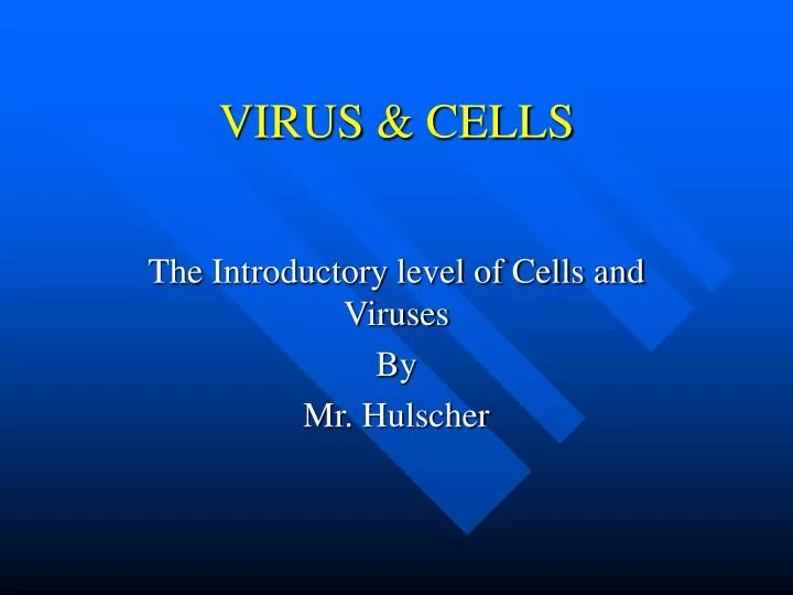 virus cells