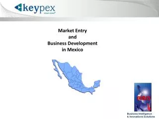 Market Entry and Business Development in Mexico
