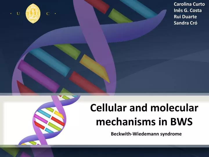 cellular and molecular mechanisms in bws