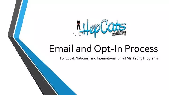 email and opt in process