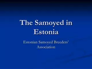 The Samoyed in Estonia