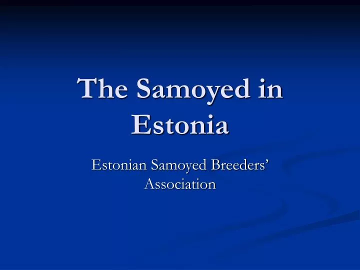 the samoyed in estonia