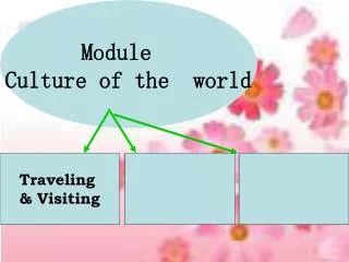 Module Culture of the world