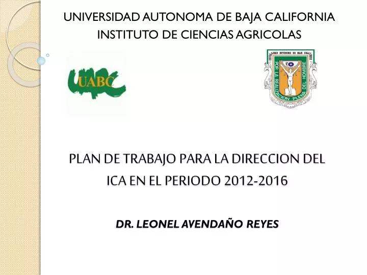 plan de trabajo para la direccion del ica en el periodo 2012 2016 dr leonel avenda o reyes