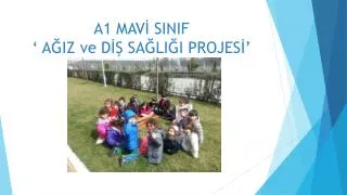 a1 mav sinif a iz ve d sa li i projes