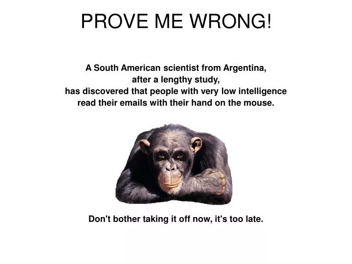 prove me wrong