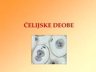 elijske deobe