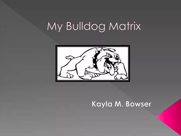 my bulldog matrix
