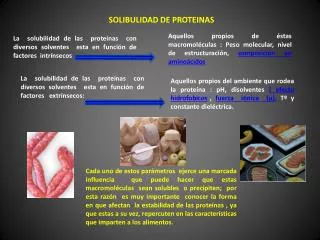 solibulidad de proteinas