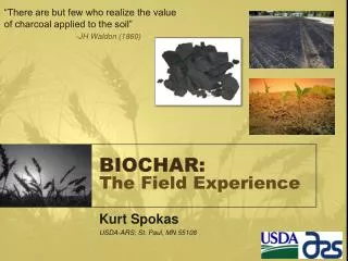 BIOCHAR: The Field Experience