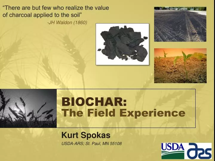 biochar the field experience