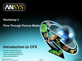 Workshop 4 Flow Through Porous Media