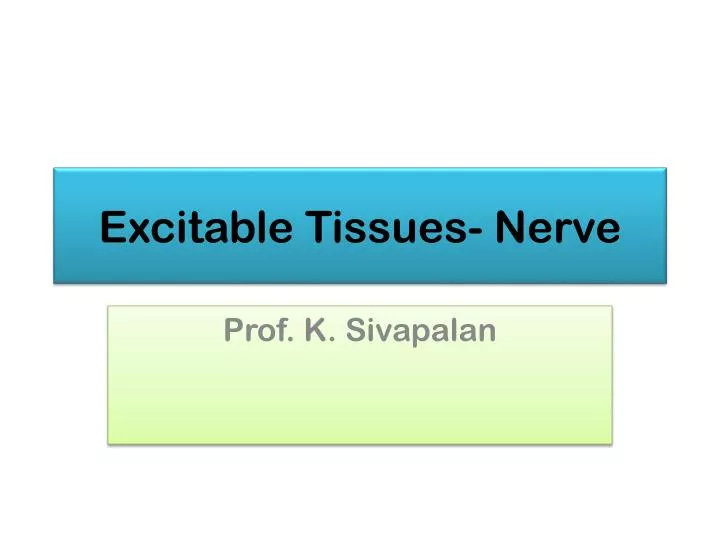 excitable tissues nerve