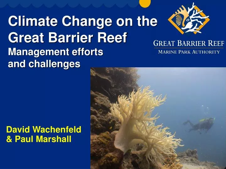 climate change on the great barrier reef management efforts and challenges