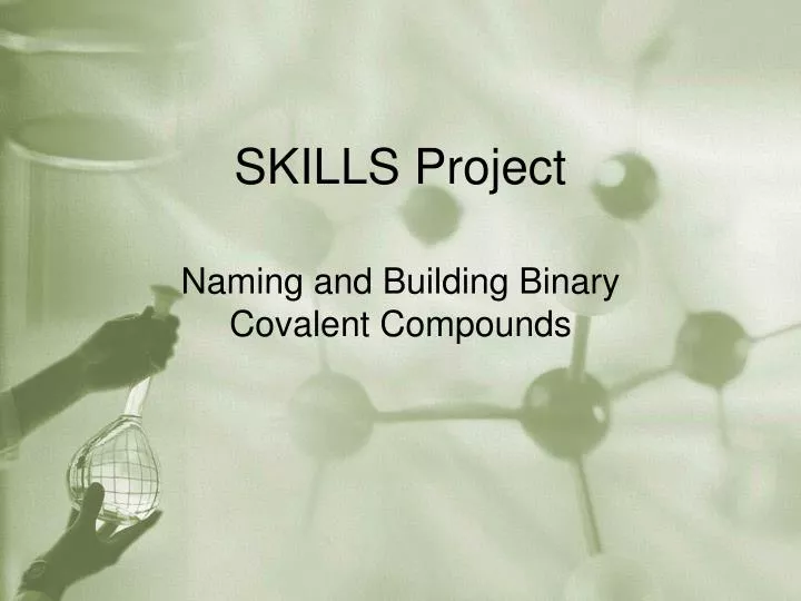 skills project