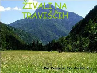 ivali na travi ih