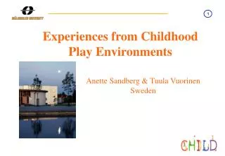 Experiences from Childhood Play Environments