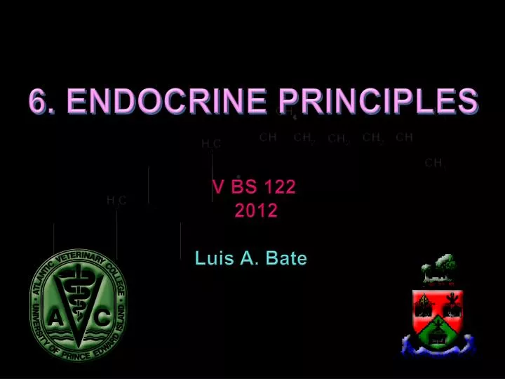 6 endocrine principles