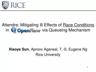 Xiaoye Sun , Aproov Agarwal , T.-S. Eugene Ng Rice University